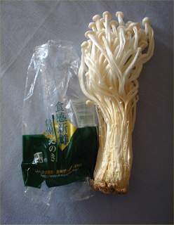 ENOKI